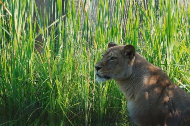 Foto ZG ZOO