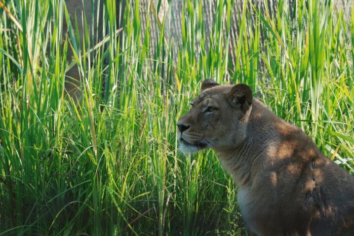 Foto ZG ZOO