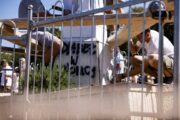 Foto Denis Kapetanovic/PIXSELL