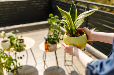 FOTO: iStock