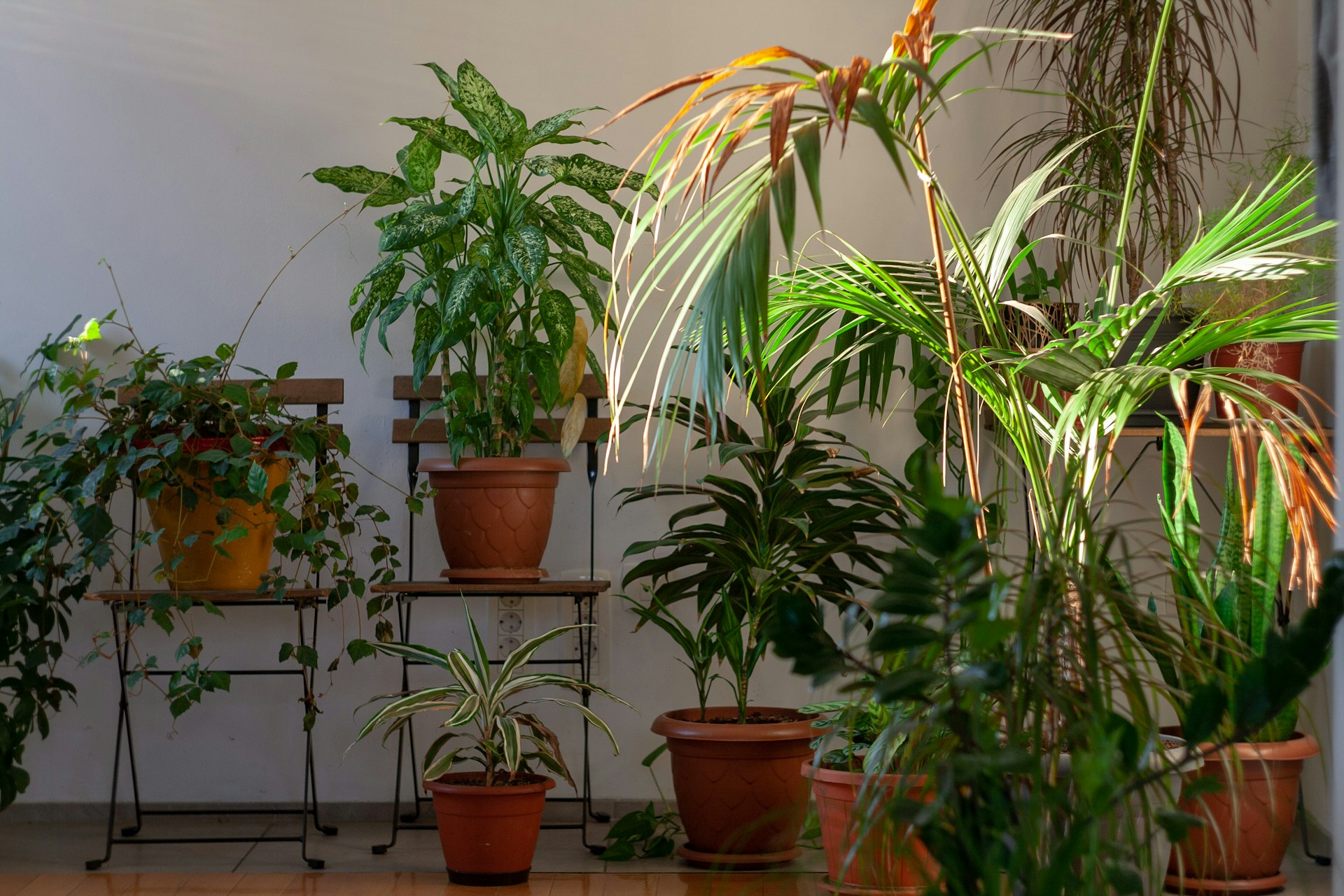 FOTO: Unsplash