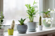 FOTO: iStock