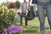 FOTO: iStock