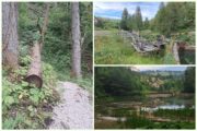 Čogrljevo jezero traži obnovu / Foto A. VUKUŠIĆ