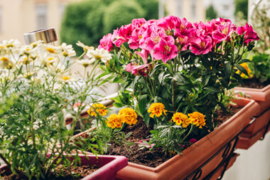 Foto: iStock