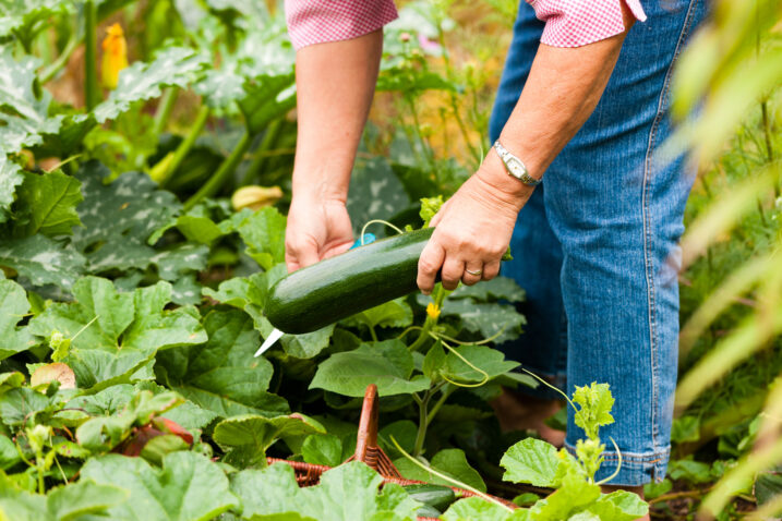Foto: iStock