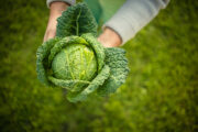 Foto: iStock