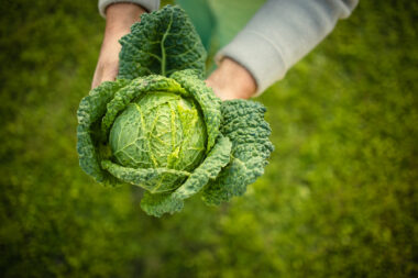 Foto: iStock