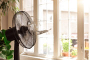 Foto: iStock