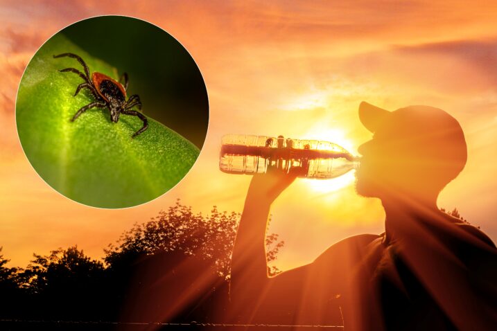 Foto Istock, Pixabay