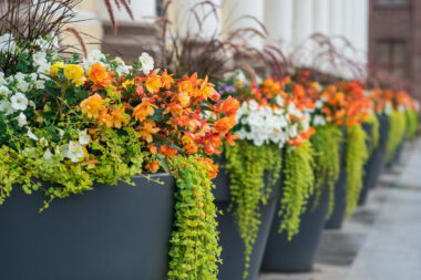 Foto: iStock