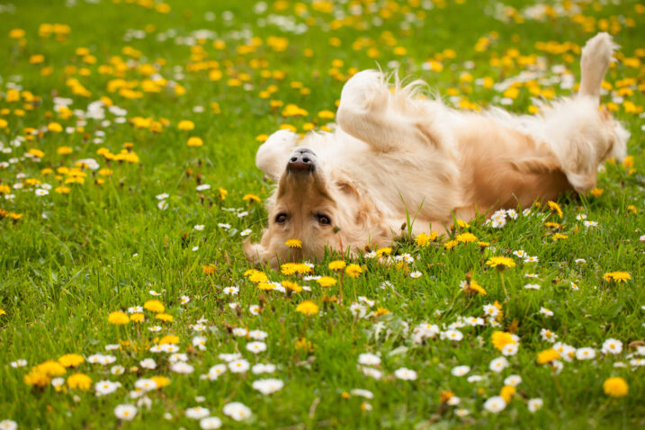 Foto: iStock