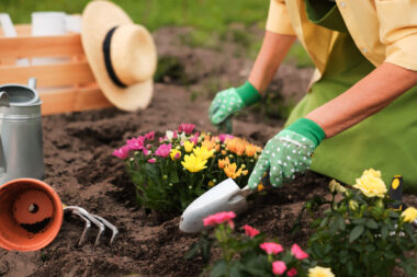 Foto: iStock