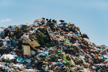 iStock