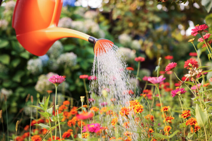 Foto: iStock