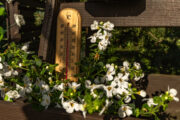 Foto: iStock