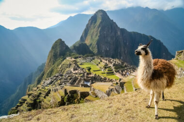 iStock