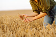 FOTO: iStock