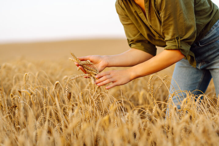 FOTO: iStock