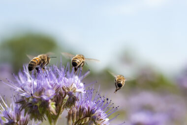 FOTO: iStock