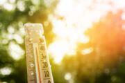 FOTO: iStock