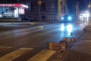 Foto Nina Ljubić