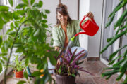 FOTO: iStock