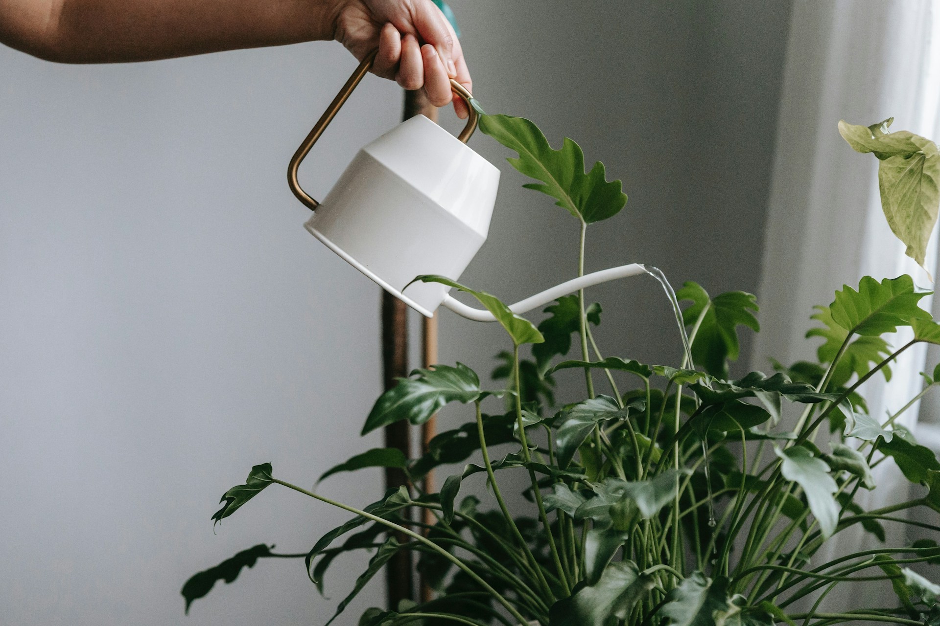 FOTO: Unsplash