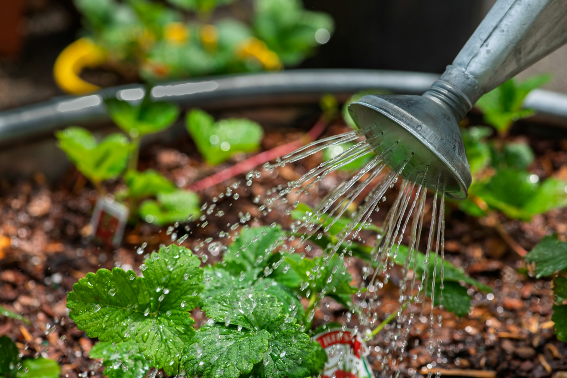 FOTO: Unsplash