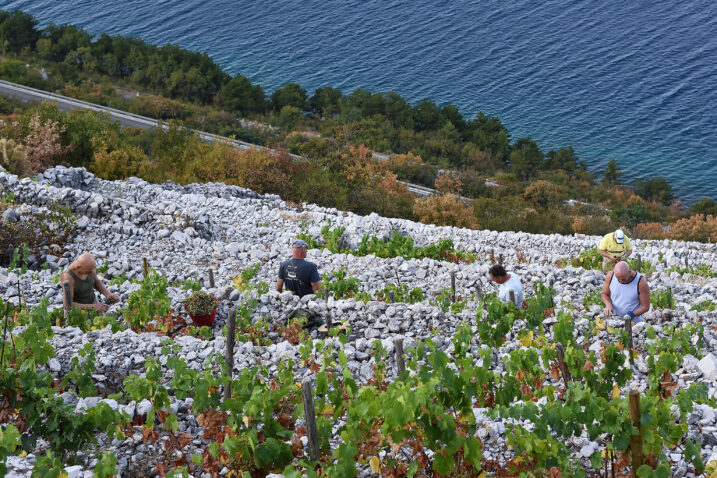 Foto Dean Miculinić