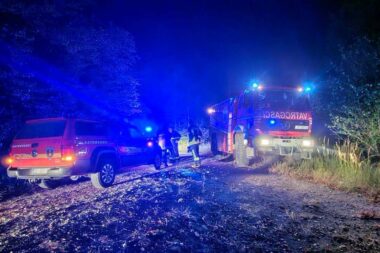 Požar u Liču gasili su vatrogasci iz Delnica, Fužina, Vrata i Liča / Foto JVP Rijeka