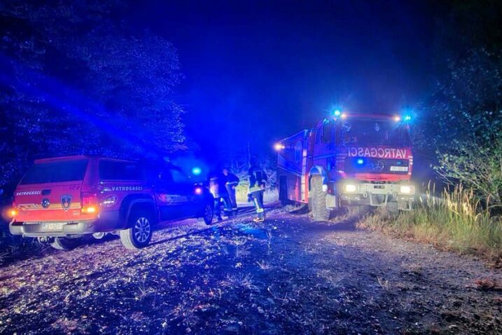 Požar u Liču gasili su vatrogasci iz Delnica, Fužina, Vrata i Liča / Foto JVP Rijeka