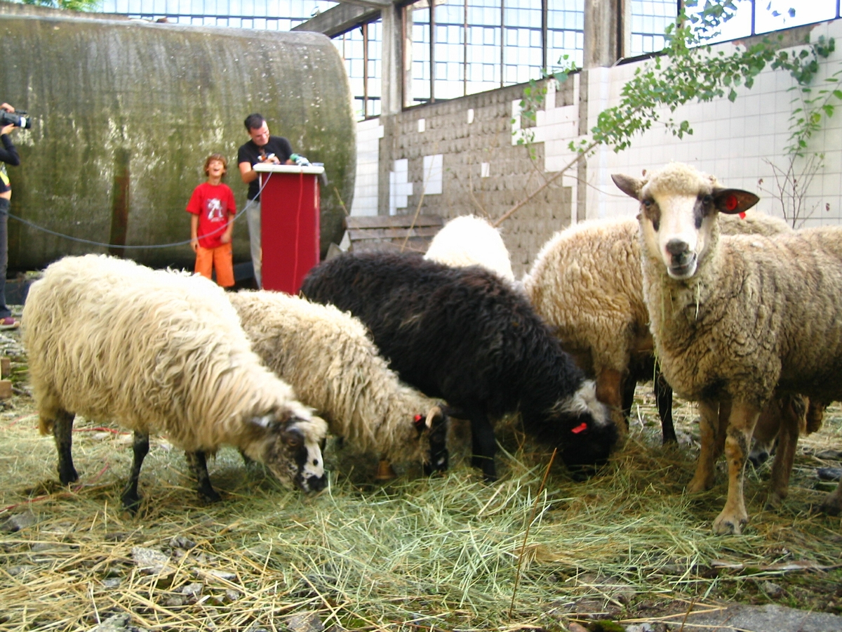 Siniša Labrović, »Stado.org«, Zagreb, 2006. / Foto Arhiva umjetnika