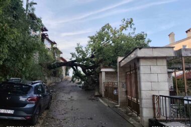 Srušeno stablo u Ulici Antona Mihića u Opatiji / Foto Grad Opatija