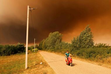 Photo by Uros Arsic / AFP