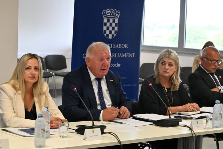 Foto HINA/Gordan PANIĆ/ gp