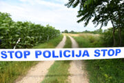 Ilustracija / Foto: Vjeran Zganec Rogulja/PIXSELL