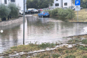 Foto Z. Guzić