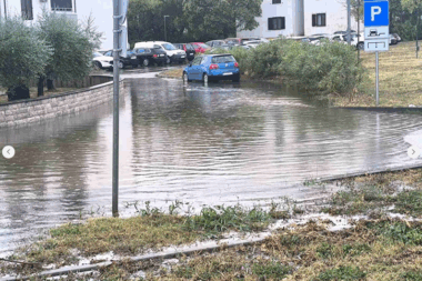 Foto Z. Guzić