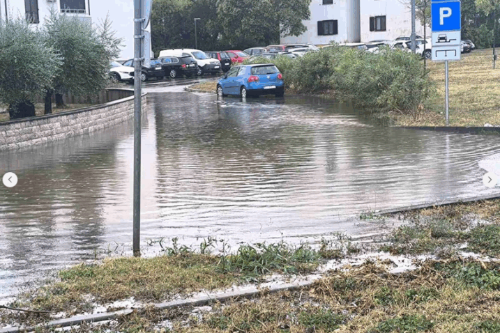 Foto Z. Guzić