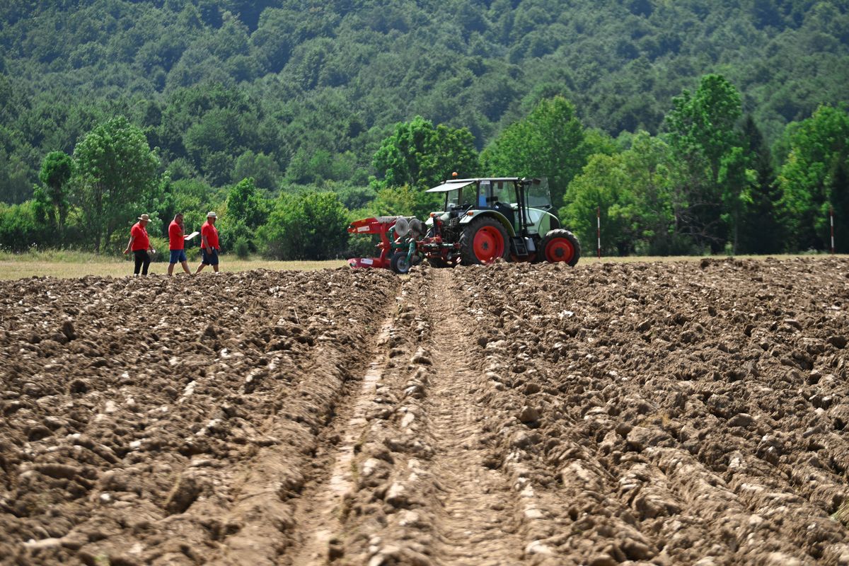 Foto Ana Križanec