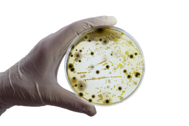 Foto: iStock
