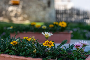FOTO: iStock