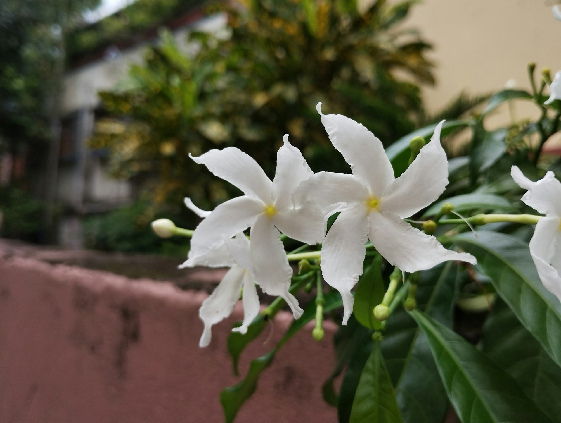 FOTO: Unsplash