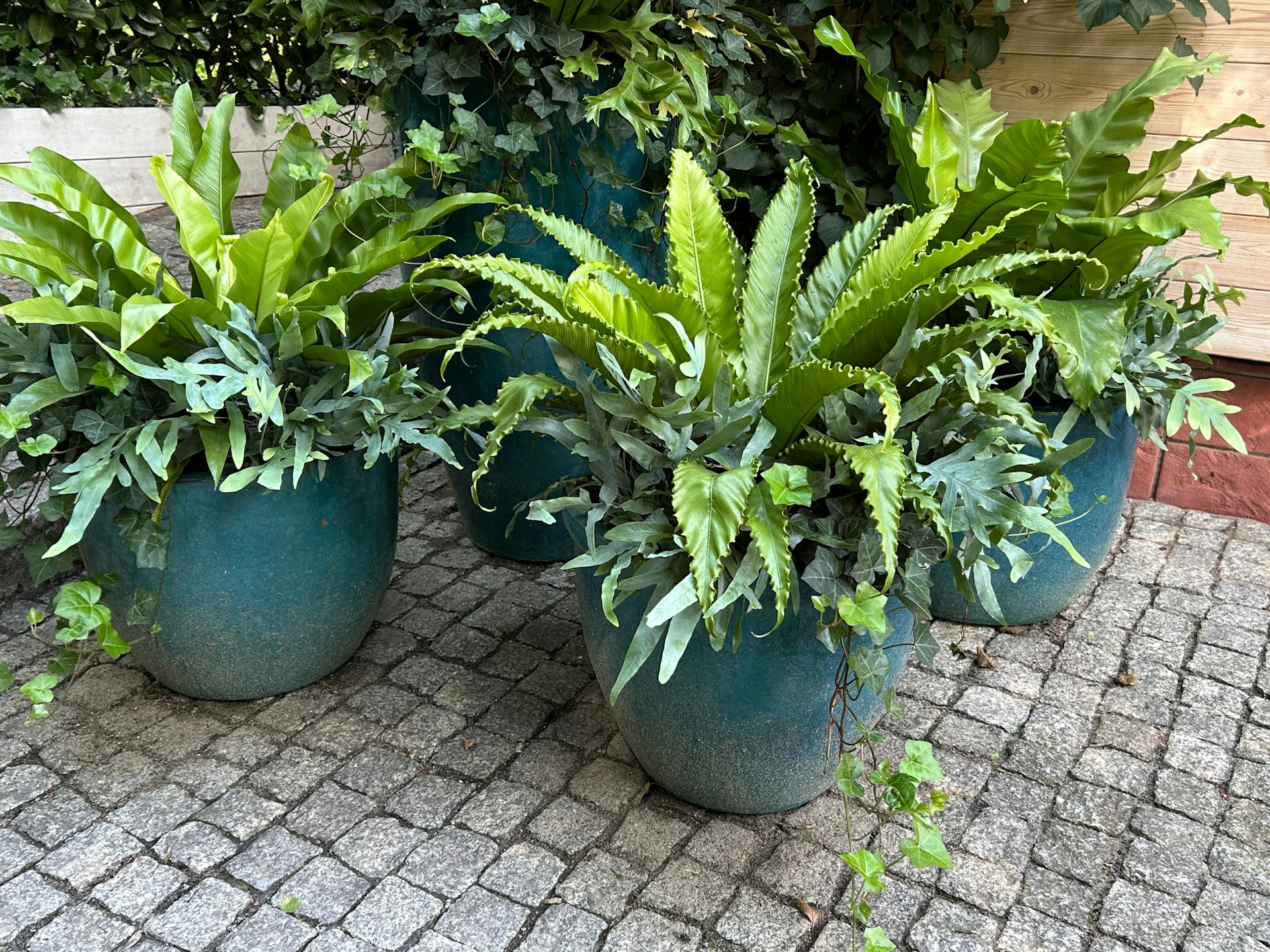 FOTO: Unsplash