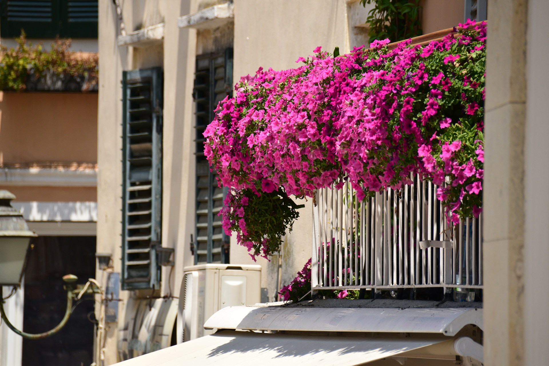 FOTO: Unsplash