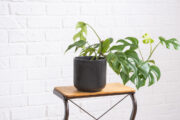 FOTO: iStock