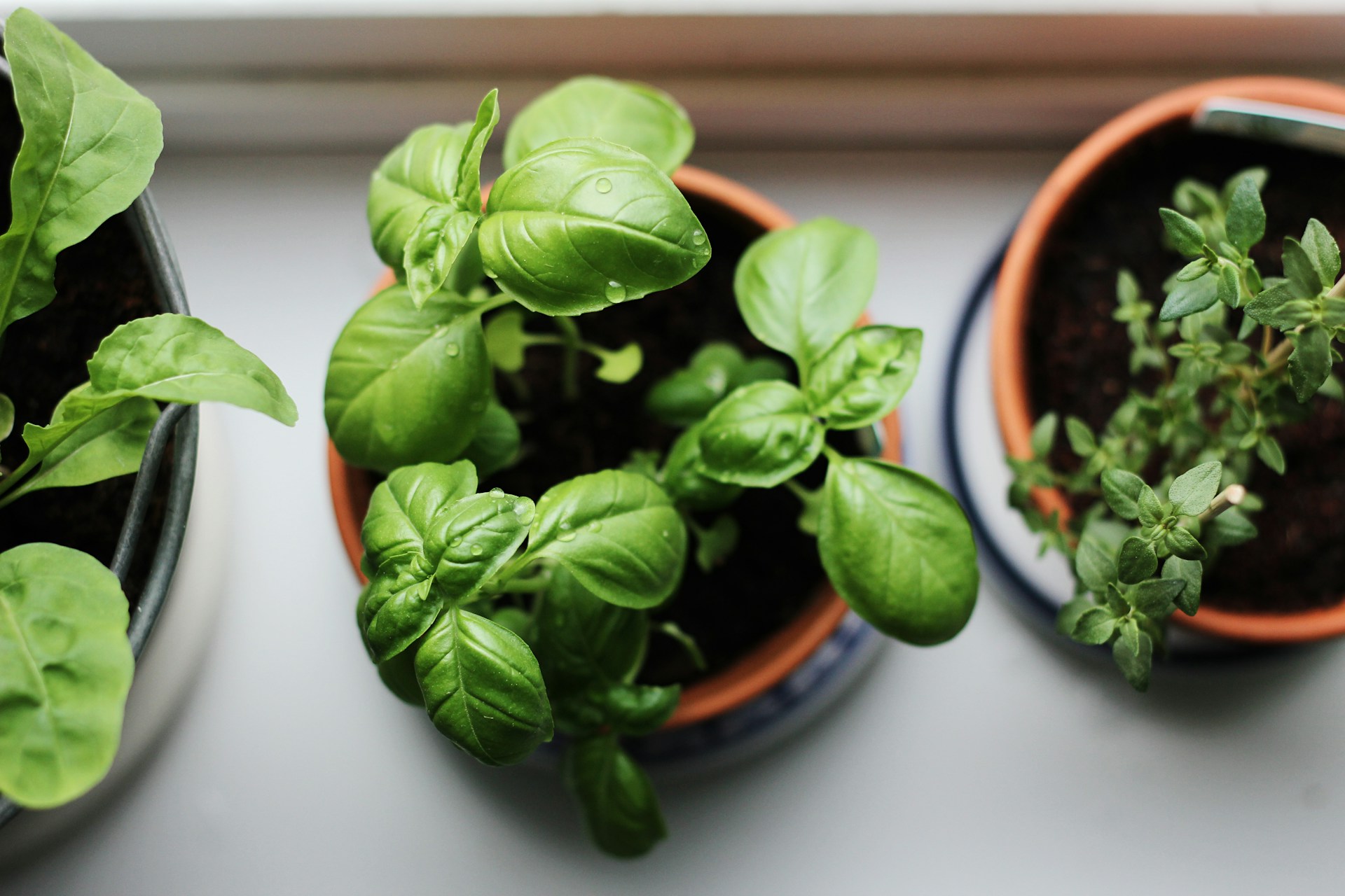 FOTO: Unsplash
