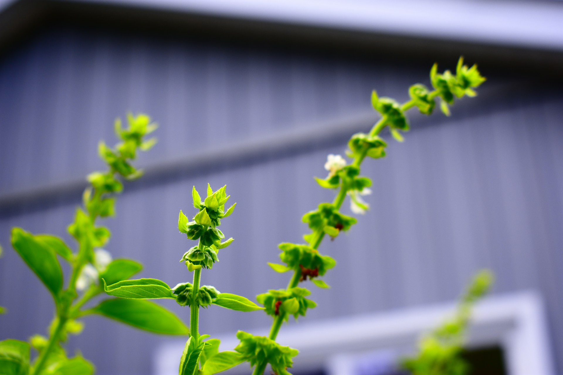 FOTO: Unsplash