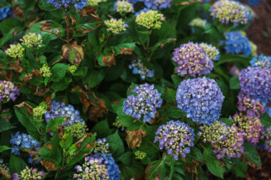 FOTO: iStock